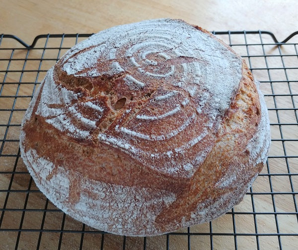 Four New (Old) Heirloom Wheat Berries. And a Boule.