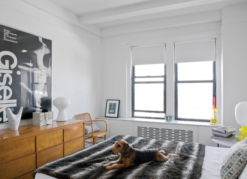 How to Prep Your Home for a New Pet, According to an Interior Designer