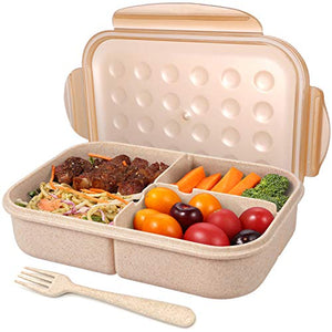 20 Best Lunch Box Food Containers