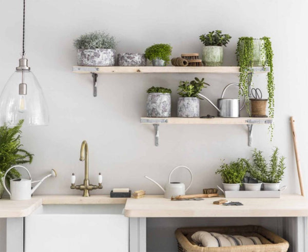 10 Beautiful Ways To Decorate Your Kitchen With Plants