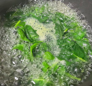 Homemade Spinach Fettuccine