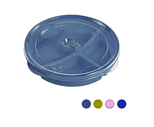 17 Best Divided Dinner Tray | Dinner Plates