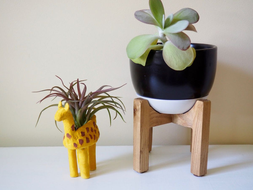 All Our Best Project Ideas For Newbie DIYers