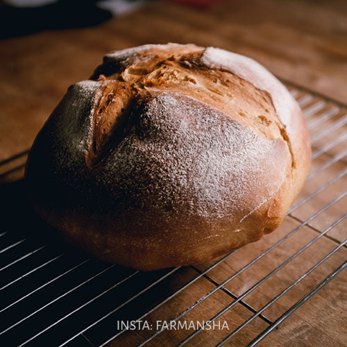 Sourdough Bread Recipe