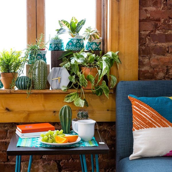 13 Unexpected Ways to Decorate With Plants