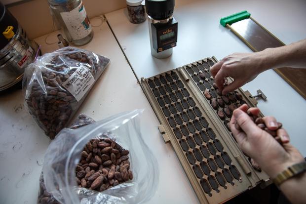 Everything you need to know about chocolate