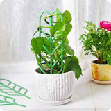 Hot sale garden plant support climbing plants flower fixed plant growth  garden tools.